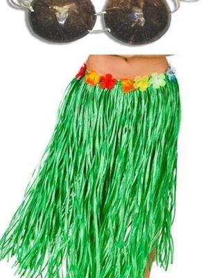 Fantasia Havaiana Conjunto Clássico Adulto Fantasia Havaiana Conjunto Clássico Adulto
