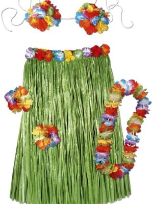 Fantasia Havaiana Conjunto Luxo