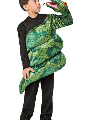 Fantasia Cobra Infantil Fantasia Cobra Infantil