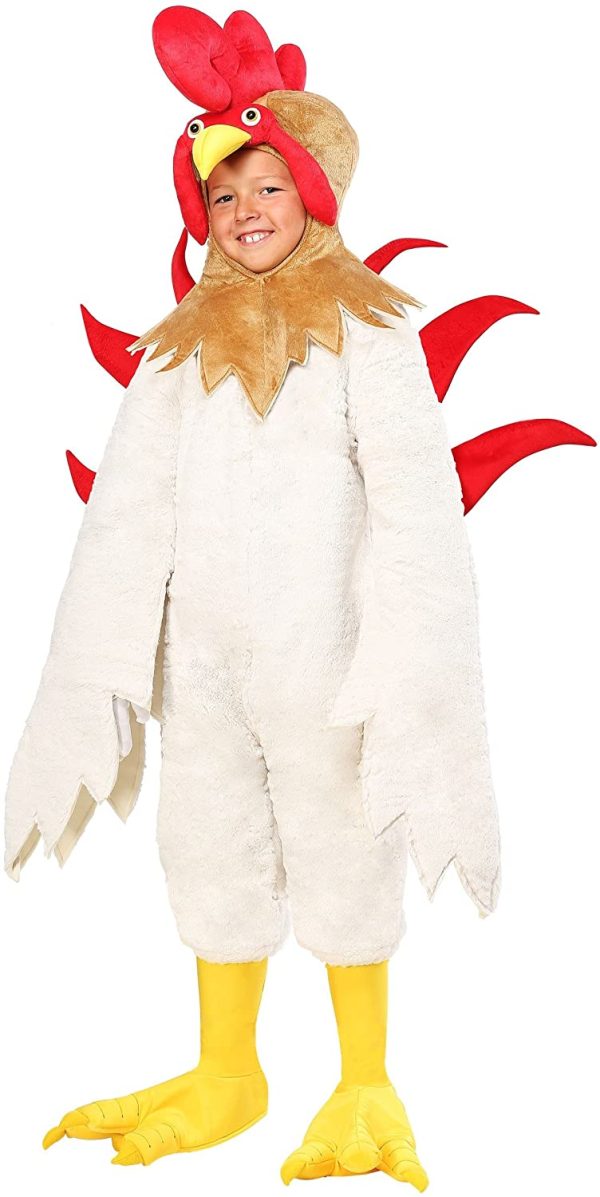 Fantasia Pintinho Infantil Luxo Elite
