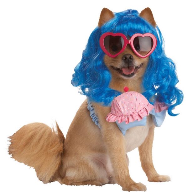 Fantasia para Cachorro Cupcake Katy Perry Fantasia para Cachorro Cupcake Katy Perry