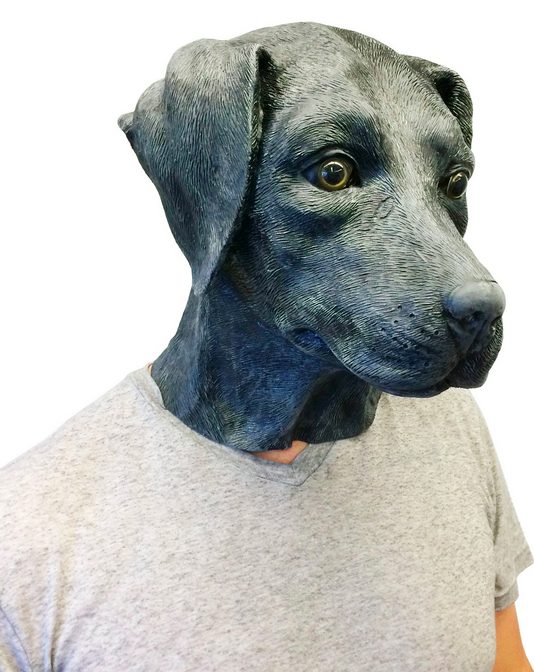 Máscara de Cachorro Labrador Vinil Animal Luxo Máscara de Cachorro Labrador Vinil Animal Luxo