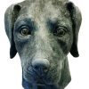 Máscara de Cachorro Labrador Vinil Animal Luxo
