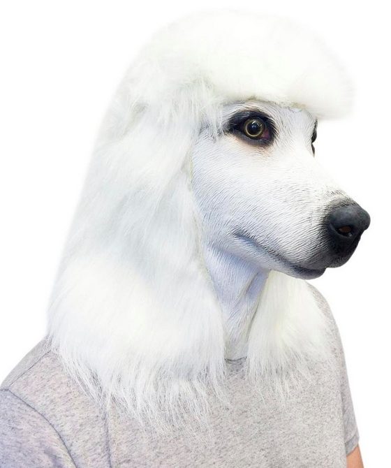 Máscara de Cachorro Poodle Branco Vinil Animal Luxo Máscara de Cachorro Poodle Branco Vinil Animal Luxo
