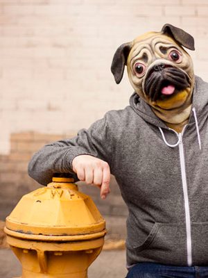 Máscara de Cachorro Pug Vinil Animal Luxo