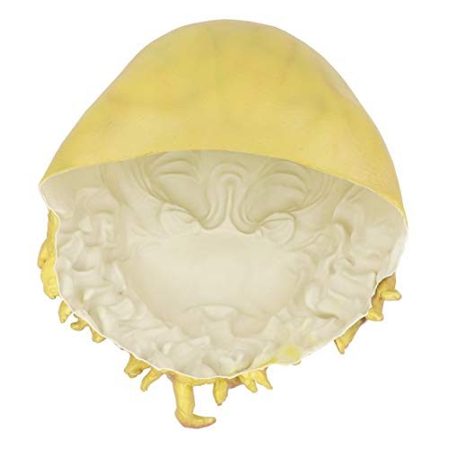 Máscara de Polvo Pirate Davy Jones Clássica Máscara de Polvo Pirate Davy Jones Luxo