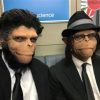 Máscara Macaco para Aplicação de Maquiagem