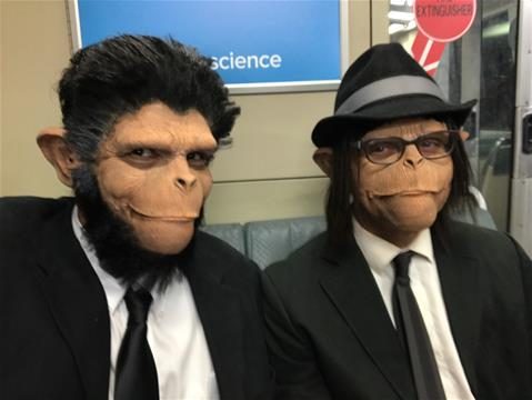Máscara Macaco para Aplicação de Maquiagem Máscara Macaco para Aplicação de Maquiagem