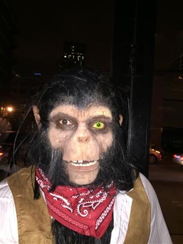 Máscara Macaco para Aplicação de Maquiagem Máscara Macaco para Aplicação de Maquiagem