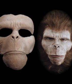 Máscara Macaco para Aplicação de Maquiagem Máscara Macaco para Aplicação de Maquiagem