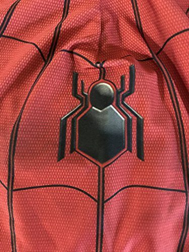 Fantasia Homem Aranha de Volta ao Lar Adulto