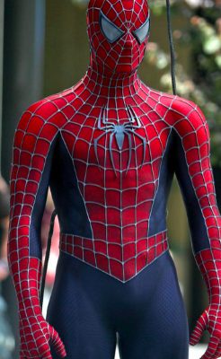 Fantasia Homem Aranha Luxo Clássica Elite Luxo Fantasia Homem Aranha Luxo Clássica Elite Luxo