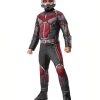 Fantasia Homem Formiga e Vespa Adulto Luxo