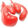 Fantasia Rocky Balboa Sylvester Stallone Adulto