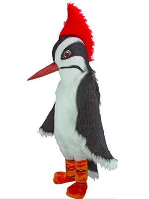 Mascote Pica Pau Adulto Pássaro Mascote Pica Pau Adulto Pássaro
