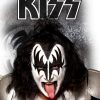 Peruca Kiss Demon Luxo Adulto