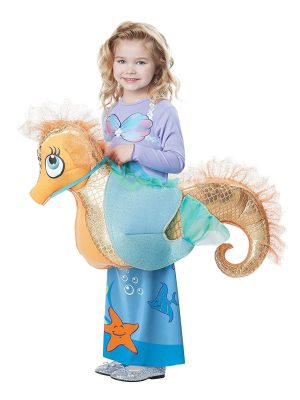 Fantasia Sereia e Cavalo Marinho