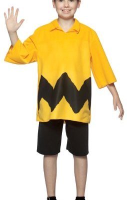Fantasia Charlie Brown Snoopy Infantil Fantasia Charlie Brown Snoopy Infantil