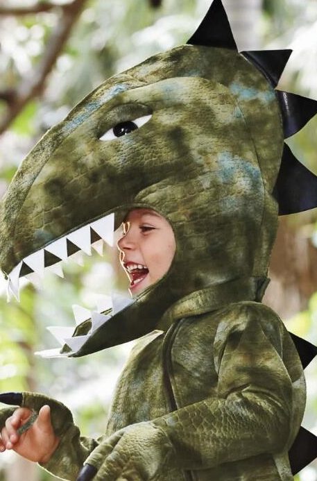 Fantasia Colossal TRex Infantil Fantasia Colossal TRex Infantil