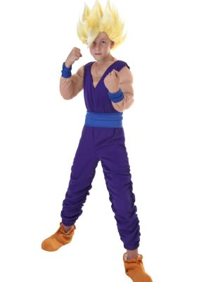 Fantasia Gohan Dragon Ball Infantil Fantasia Gohan Dragon Ball Infantil