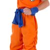 Fantasia Goku Dragon Ball Infantil