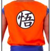 Fantasia Goku Dragon Ball Infantil