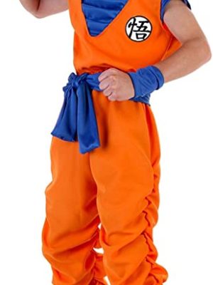 Fantasia Goku Dragon Ball Infantil Fantasia Goku Dragon Ball Infantil