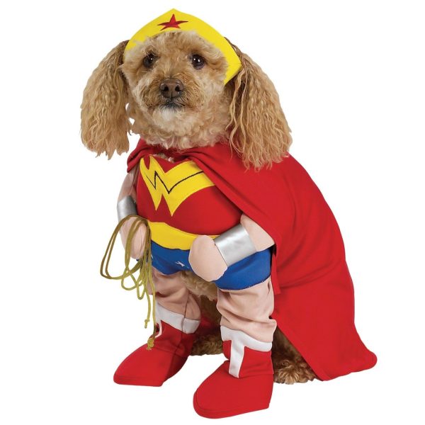 Fantasia para Cachorro da Mulher Maravilha Fantasia para Cachorro da Mulher Maravilha