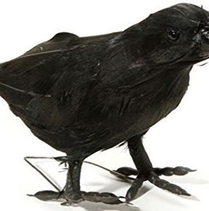 Pássaro Corvo Preto da Bruxa Malévola Bela Adormecida. Pássaro Corvo Preto da Bruxa Malévola Bela Adormecida.
