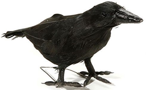 Pássaro Corvo Preto da Bruxa Malévola Bela Adormecida. Pássaro Corvo Preto da Bruxa Malévola Bela Adormecida.