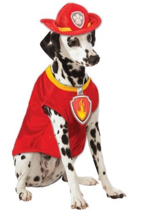 Fantasia Pet Marshall Patrulha Canina Paw Patrol