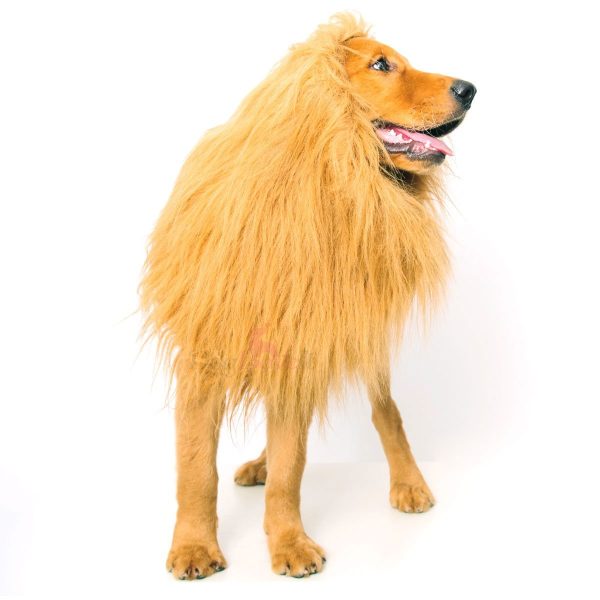 Peruca de Leão para Animais Peruca de Leão para Animais