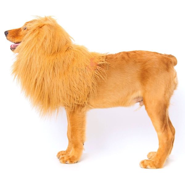 Peruca de Leão para Animais Peruca de Leão para Animais