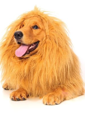 Peruca de Leão para Animais Peruca de Leão para Animais
