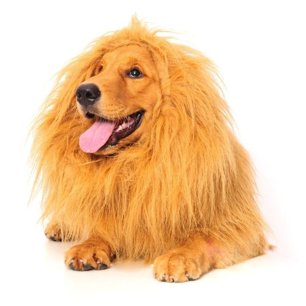 Peruca de Leão para Animais Peruca de Leão para Animais