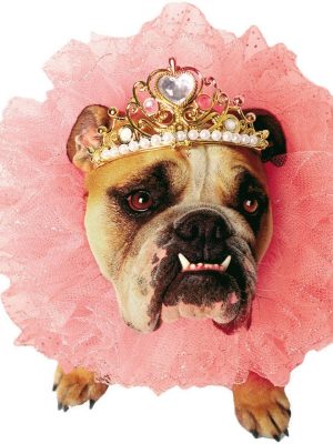 Fantasia para Cachorro Rainha Rosa Fantasia para Cachorro Rainha Rosa