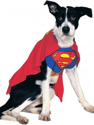 Fantasia para Cachorro Superman Super Homem Fantasia para Cachorro Superman Super Homem