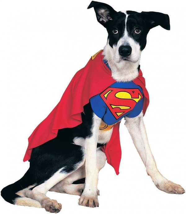 Fantasia para Cachorro Superman Super Homem Fantasia para Cachorro Superman Super Homem