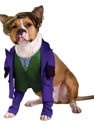 Fantasia para Cachorro Coringa Dark Knight