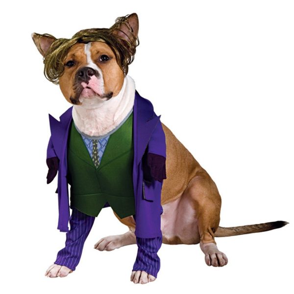 Fantasia para Cachorro Coringa Dark Knight Fantasia para Cachorro Coringa Dark Knight